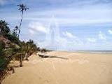 Туры в Шри Ланку. Пляжный отдых. Негомбо